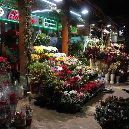 Lejlighed Dreamy Corner *