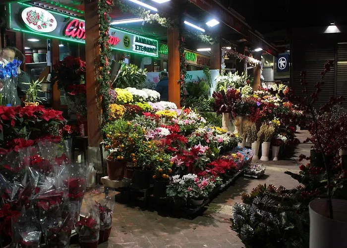 Διαμέρισμα Dreamy Corner *